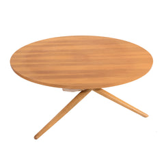 #213 Adjustable Coffee Table by Jurg Bally